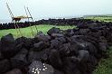 WT 0064 T10-10 Hawaii